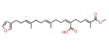 Furospongin 4